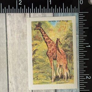 🌀10/$10🌀 Classic Grassland Animals Reusable Washi Sticker Decal